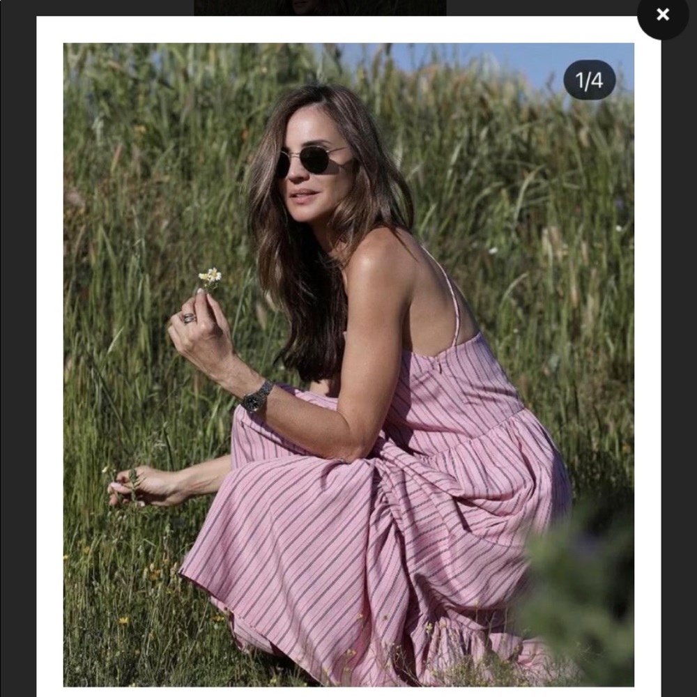 ZARA Pink Stripe Dress